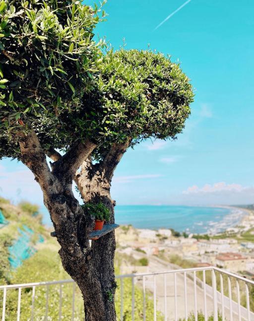 Lavinum Villa Monte di Procida Exteriör bild
